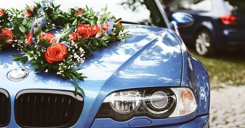 Свадебный кортеж устроил беспорядки на дороге в Туркестанской области