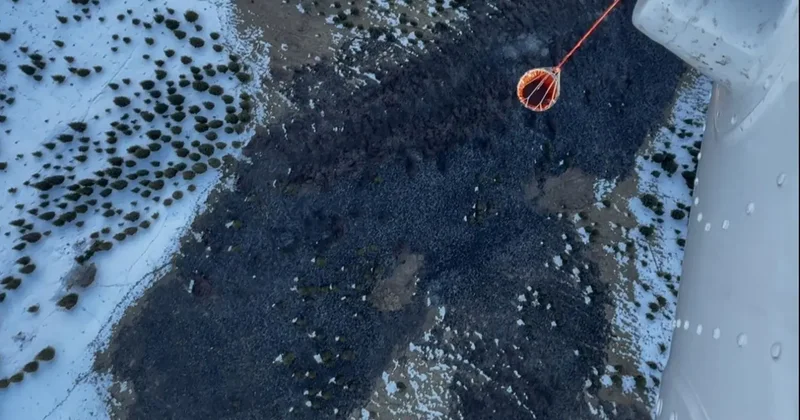 Сухостой горел на территории Иле Алатауского нацпарка