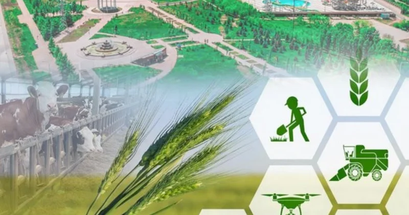 Тәжірибе табысқа жеткізеді