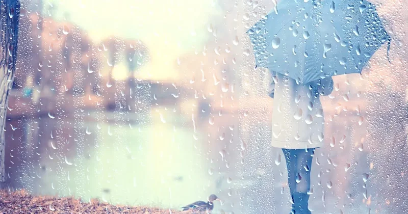 Прогноз погоды на 26 ноября: сильный ветер, туман и гололёд ожидаются на севере и востоке страны