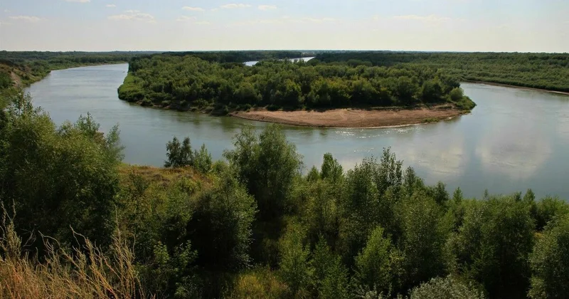 Это политическая игра