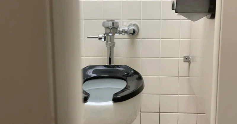 Прозрачный туалет за 1 тенге обсуждают в Астане (ВИДЕО)