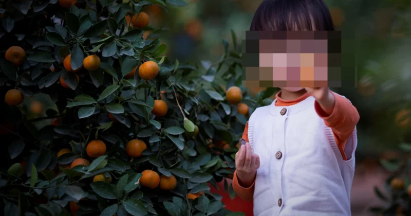 Деньги на лечение умершего ребенка собирали в Алматинской области