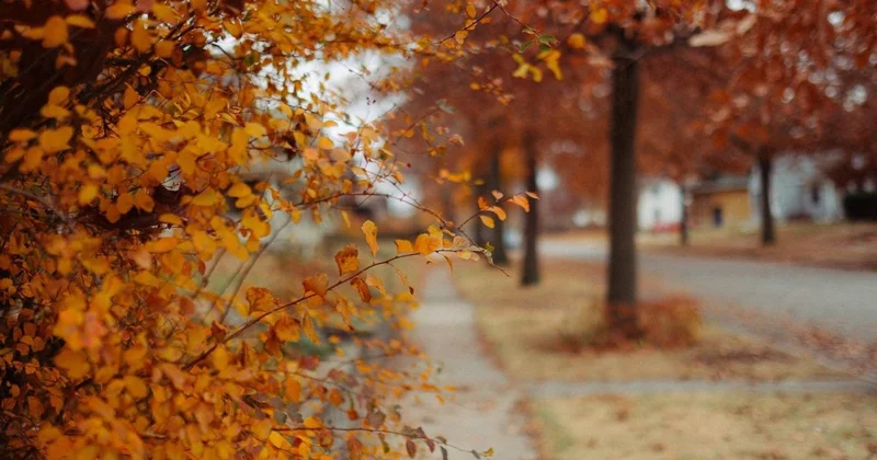 Қазақстанның оңтүстігінде әлі де күншуақты ауа райы сақталады