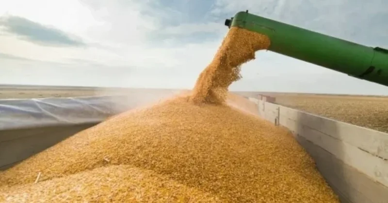 Қазақстаннан Түрікменстанға жеткізілетін бидай көлемі артады