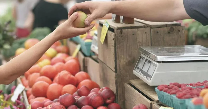 Не нравится цена не берите : в Минторговли прокомментировали высокую стоимость продуктов в Казахстане