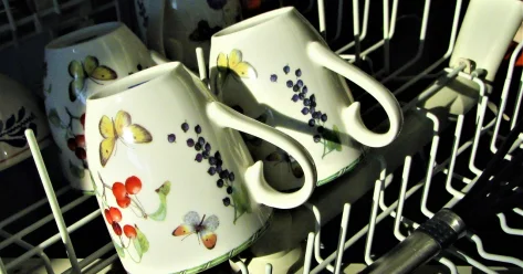 Какую посуду лучше не мыть в посудомоечной машине