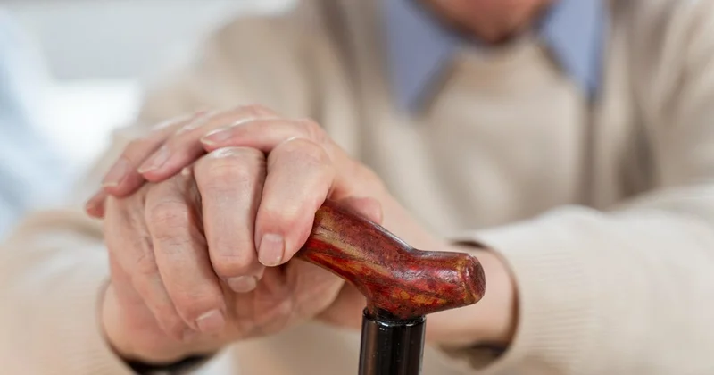 Еуропада әлеуметтік шығын бойынша Германия көш бастады