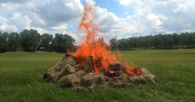 Казахстанец отомстил за отказ в приеме на работу и получил срок в колонии строгого режима