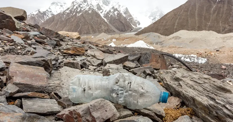Водителя грузовика, сбросившего мусор в горах, наказали в Алматы