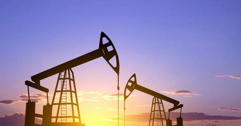 Мажилис рассмотрел развитие местного содержания в нефтегазовой отрасли