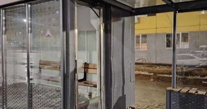 Аялдаманы қиратқандар қамауға алынды