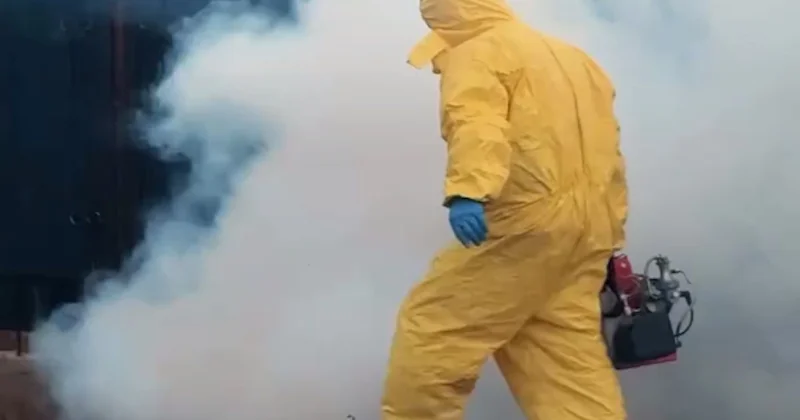 ​Кеміргіштер бақылауда: Бейбарыс пен Талдыкөл ауылдарында улау жұмыстары жүріп жатыр