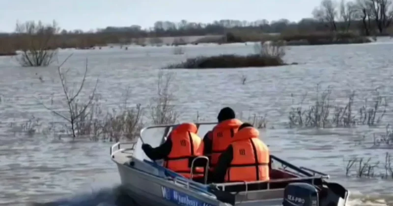 Сібір өзендерін Аралға бұруға бола ма?