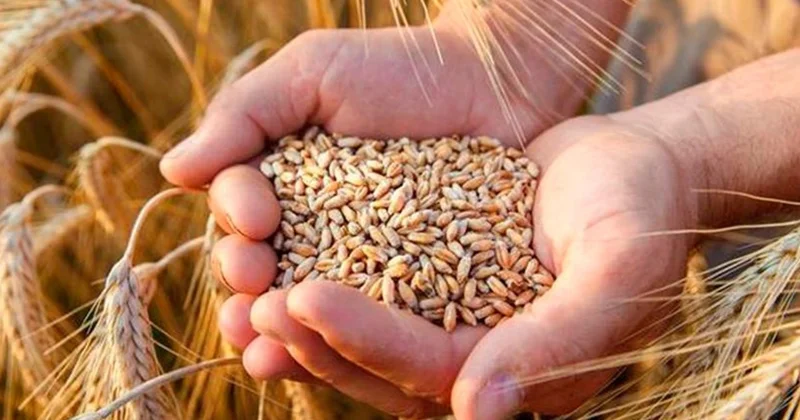 Мемлекет басшысы: Ауыл шаруашылығындағы жалпы өнім соңғы он жылда 2,5 есе өсті