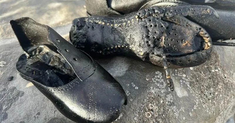 Теңіз жағасынан Виктория дәуірінде тігілген етіктер табылды