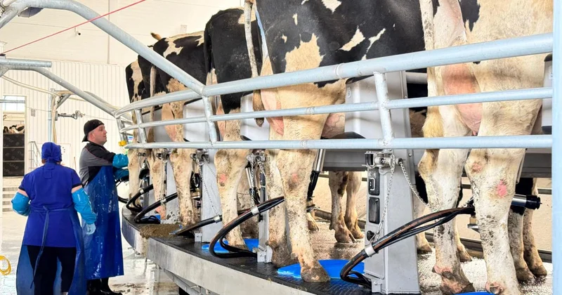 СҚО тәжірибесін тарату бағдарламасы аясында 84 инвестициялық жоба іске асырылды