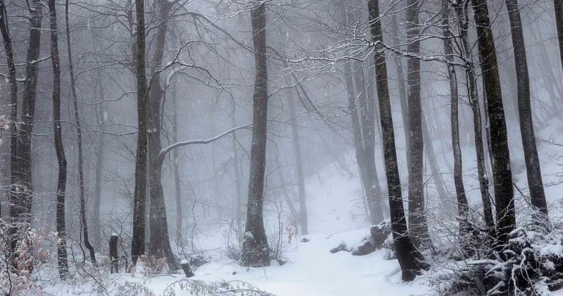 Снег и метель прогноз погоды на 25 декабря