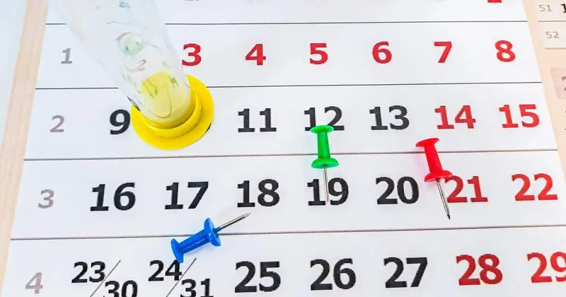 23 желтоқсан. Тұлғалар туған күн