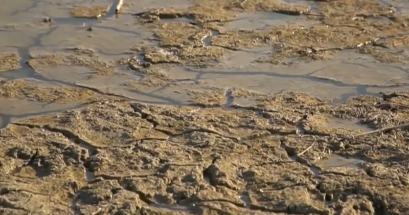 Еділ өзеніндегі су азайып барады