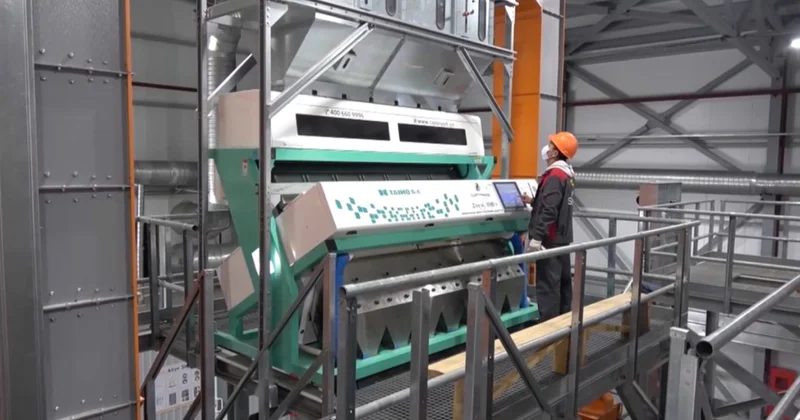 Еліміз күнбағыс майын экспорттаудан үздіктер қатарында