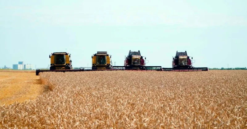 Казахстан укрепляет продовольственную безопасность и наращивает экспорт