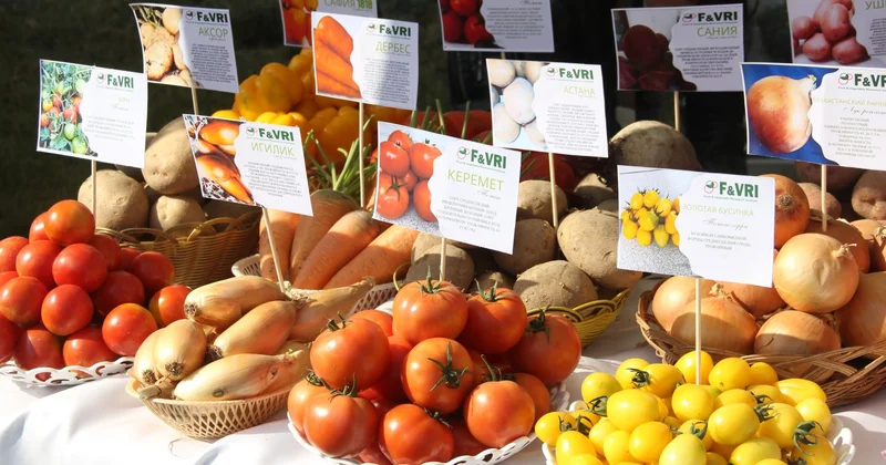 Продукты гниют, а цены растут: депутат мажилиса раскритиковал стабфонды