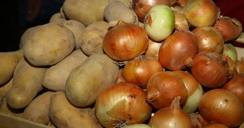 Вырастить, сохранить, переработать