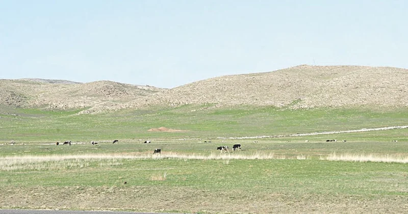 Жер халықтың қазынасы