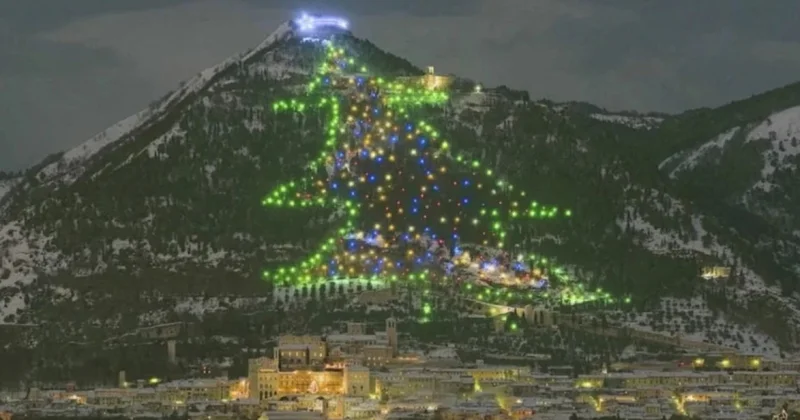 Ең жарық шырша