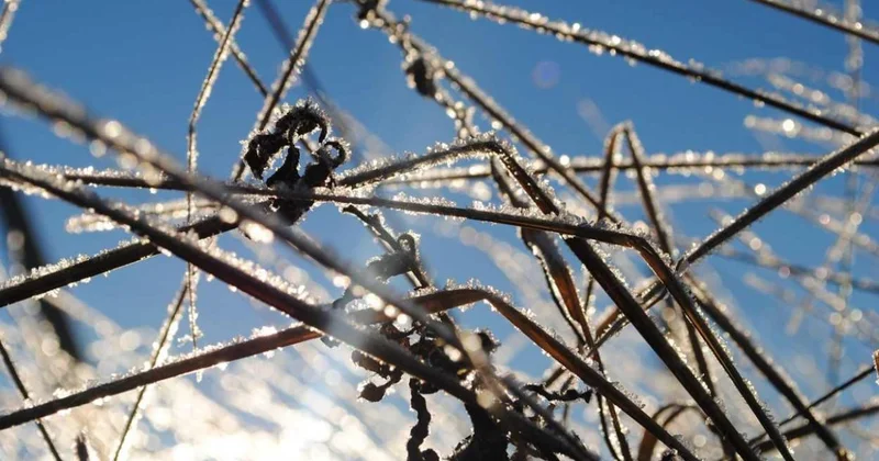 Плюс днем и минус ночью: погода в Шымкенте 25 декабря