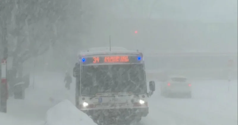 Канадада қарлы боран соқты