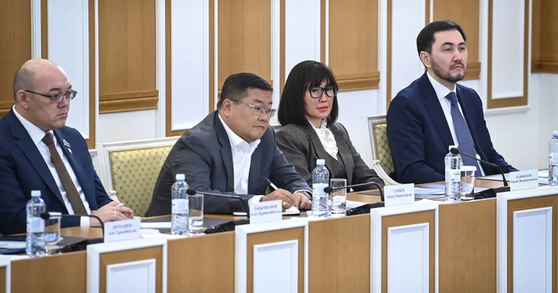 Глава ОСДП: Конституционная реформа это ответ на очень конкретные запросы общества