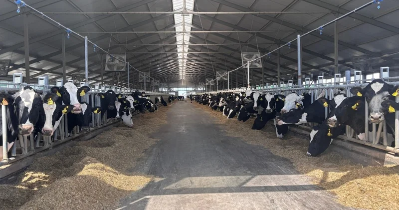 ШҚО ның 8 ауданында субсидия алған шаруагерлер міндеттемелерін орындамаған