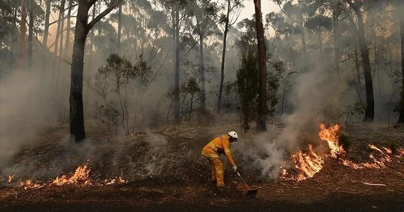 Аустралияда аптап ыстыққа байланысты ескерту жарияланды
