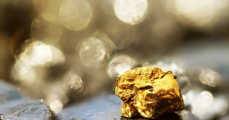 Ущерб на 4 млрд тенге: участникам ОПГ вынесли приговор за кражу золотосодержащей руды в Семее