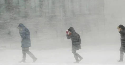 Снега и метели сохранятся на большей части Казахстана