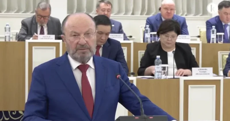 Исидор Борчашвили: Конституциялық реформа құқықтық бірлік пен адамға бағдарланған таңдау