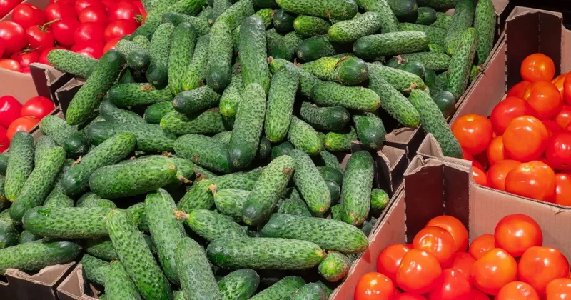 В правительстве снова отчитались о снижении цен на огурцы