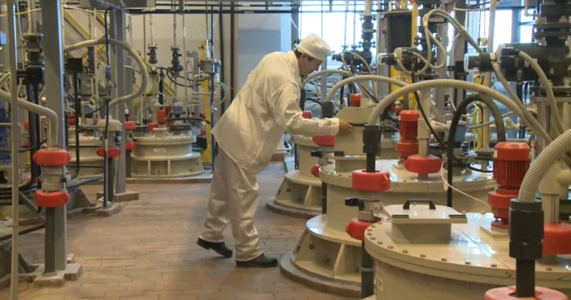 Үш түрлі арнаулы салық режимі