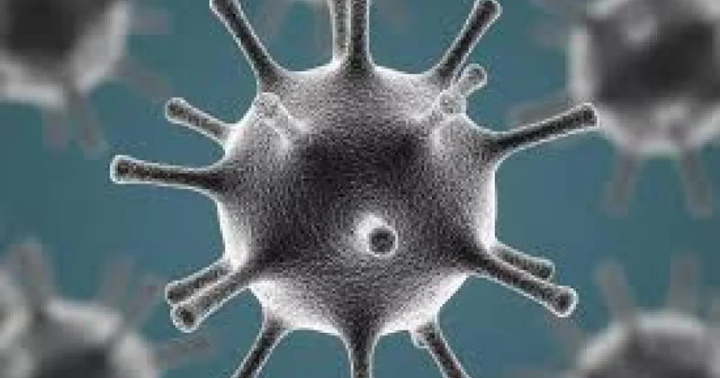 Жаңа қауіпті вирус: Үндістаннан келген адамдар ерекше бақылауда болады