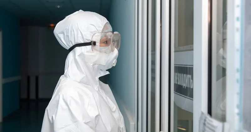 Вирус Нипах: санитарный контроль на границе усилили в Казахстане