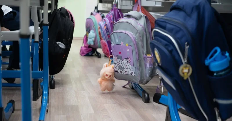 Государство против рынка? Почему частные школы попали под оптимизацию