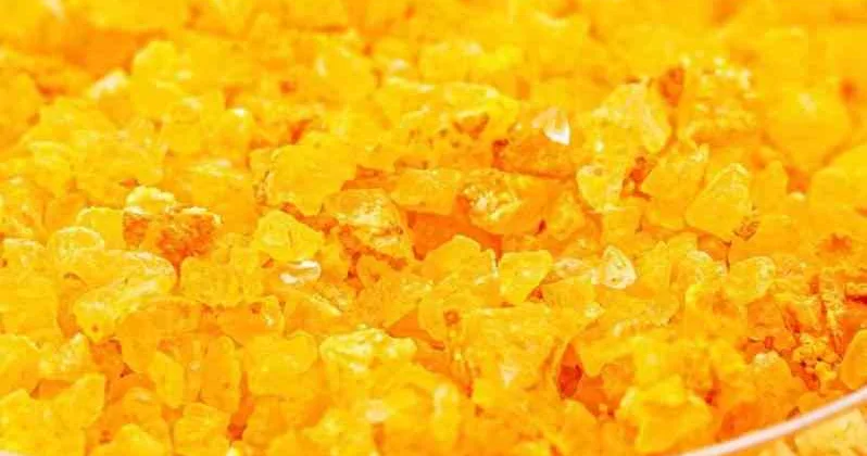 Қазақстанда желатин мен коллаген өндіретін зауыт салынады