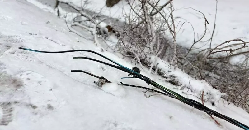 Қызылордада қатты жел электр сымдарын зақымдап, ағаштарды құлатты