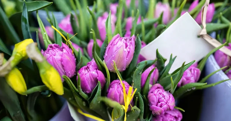 Кто получит денежные выплаты к 8 марта в Астане