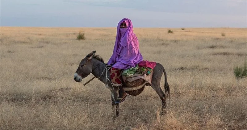 БҰҰ: 1 млрд тан астам адам жері мен баспанасынан айырылуы мүмкін