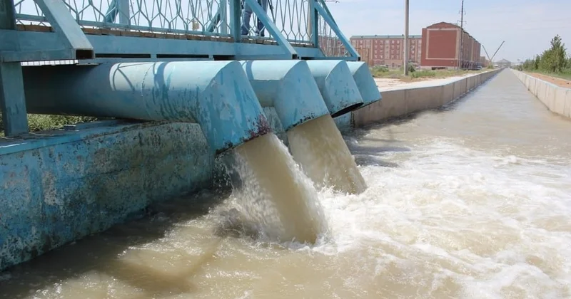 Сырдарияда 2019 жылдан бастап су күрт азайды инспекция басшысы