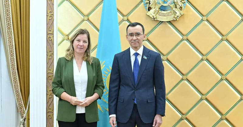 Маулен Ашимбаев встретился с Главой Представительства ЕС в Казахстане
