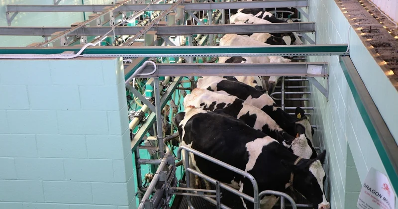 АШМ фермерлерге тікелей субсидия беру тетіктерін түсіндірді